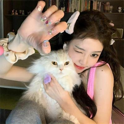 机动部队—同袍